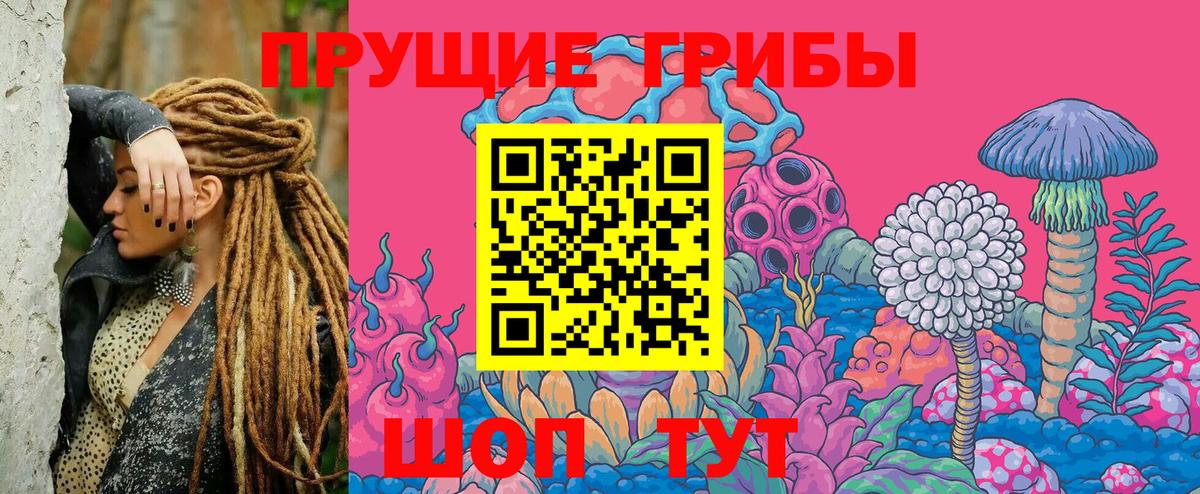 Советская Гавань  Псилоцибиновые грибы Cubensis  Вход с VPN 