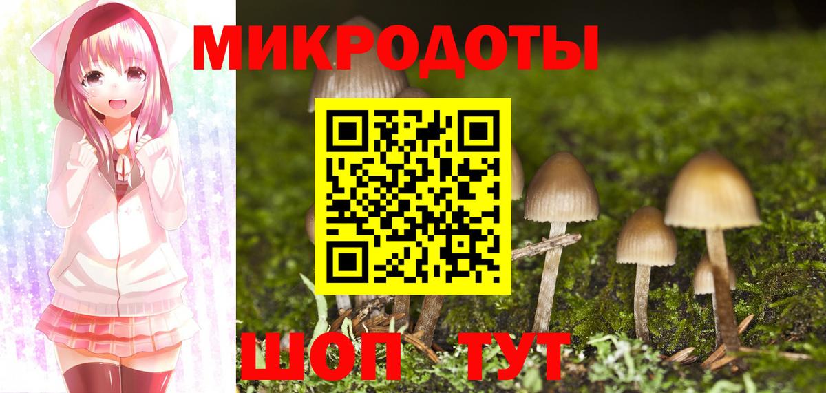 Псилоцибиновые грибы мицелий Советская Гавань