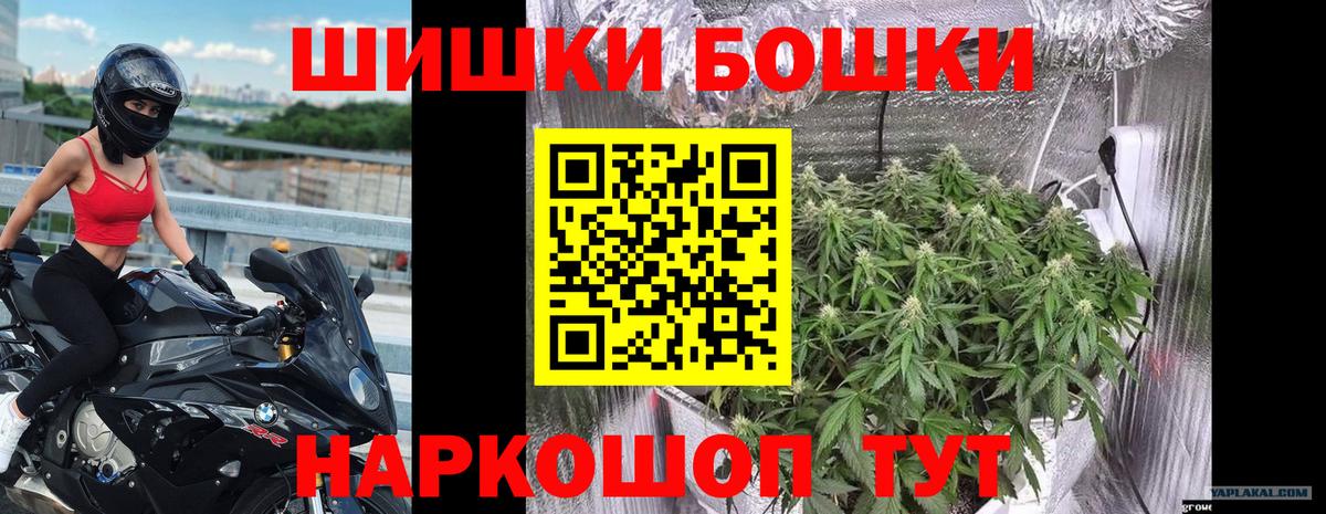 Марихуана Bruce Banner  Каннабис план  Советская Гавань  МАРИХУАНА OG Kush  Вход с VPN 
